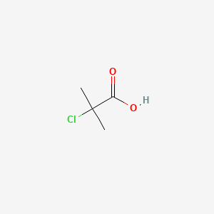 molecular formula C4H7ClO2 B1222463 2-氯-2-甲基丙酸 CAS No. 594-58-1