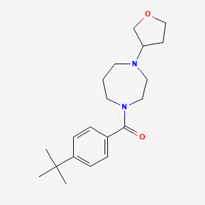 1-(4-Tert-butylbenzoyl)-4-(oxolan-3-yl)-1,4-diazepane