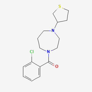 1-(2-Chlorobenzoyl)-4-(thiolan-3-yl)-1,4-diazepane