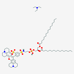molecular formula C74H117N4O14PS2 B1222677 Sulforhodamine 101 DHPE 