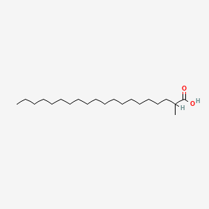 molecular formula C21H42O2 B1222693 2-Methylicosanoic acid CAS No. 22890-19-3