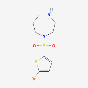 molecular formula C9H13BrN2O2S2 B12227069 1-[(5-Bromothiophen-2-yl)sulfonyl]-1,4-diazepane 