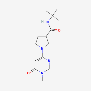 molecular formula C14H22N4O2 B12227612 N-tert-butyl-1-(1-methyl-6-oxo-1,6-dihydropyrimidin-4-yl)pyrrolidine-3-carboxamide 