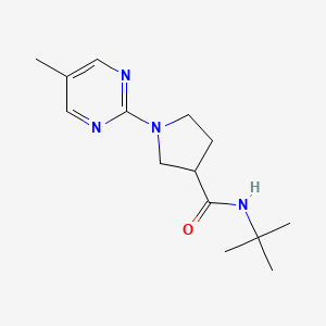 N-tert-butyl-1-(5-methylpyrimidin-2-yl)pyrrolidine-3-carboxamide