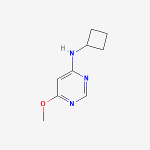 molecular formula C9H13N3O B12228008 N-cyclobutyl-6-methoxypyrimidin-4-amine 