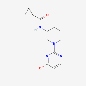 molecular formula C14H20N4O2 B12228432 N-[1-(4-methoxypyrimidin-2-yl)piperidin-3-yl]cyclopropanecarboxamide 