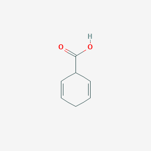 molecular formula C7H8O2 B1222865 Cyclohexa-2,5-diene-1-carboxylic acid CAS No. 4794-04-1