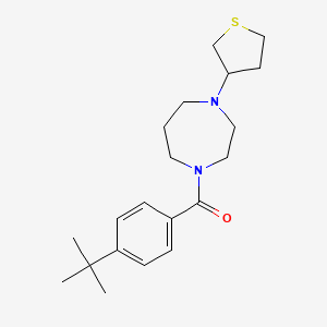 molecular formula C20H30N2OS B12229095 1-(4-Tert-butylbenzoyl)-4-(thiolan-3-yl)-1,4-diazepane 