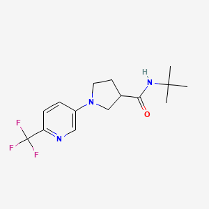 N-tert-butyl-1-[6-(trifluoromethyl)pyridin-3-yl]pyrrolidine-3-carboxamide