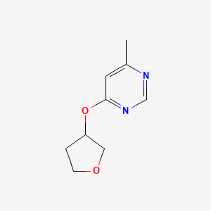 molecular formula C9H12N2O2 B12230173 4-Methyl-6-(oxolan-3-yloxy)pyrimidine 