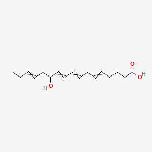 molecular formula C17H26O3 B1223038 12-Hydroxyheptadeca-5,8,10,14-tetraenoic acid 