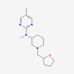 N,5-dimethyl-N-{1-[(oxolan-2-yl)methyl]piperidin-3-yl}pyrimidin-2-amine