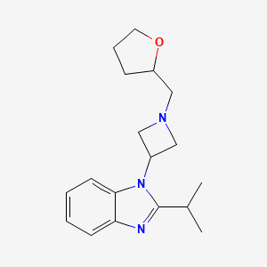 1-{1-[(oxolan-2-yl)methyl]azetidin-3-yl}-2-(propan-2-yl)-1H-1,3-benzodiazole