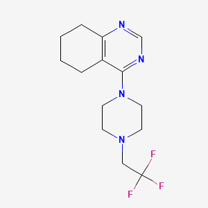 4-[4-(2,2,2-Trifluoroethyl)piperazin-1-yl]-5,6,7,8-tetrahydroquinazoline