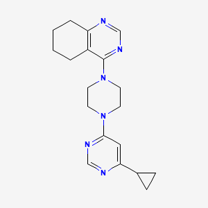 molecular formula C19H24N6 B12231126 4-[4-(6-Cyclopropylpyrimidin-4-yl)piperazin-1-yl]-5,6,7,8-tetrahydroquinazoline 