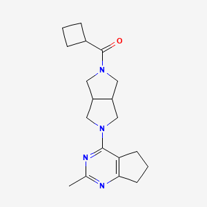 2-cyclobutanecarbonyl-5-{2-methyl-5H,6H,7H-cyclopenta[d]pyrimidin-4-yl}-octahydropyrrolo[3,4-c]pyrrole