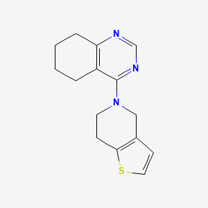 4-{4H,5H,6H,7H-thieno[3,2-c]pyridin-5-yl}-5,6,7,8-tetrahydroquinazoline