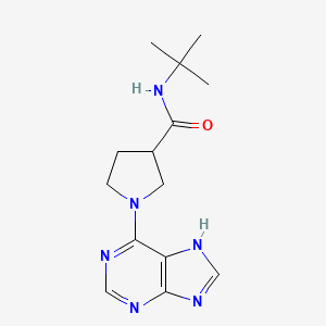 N-tert-butyl-1-(9H-purin-6-yl)pyrrolidine-3-carboxamide