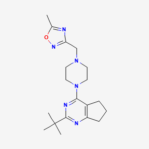 1-{2-tert-butyl-5H,6H,7H-cyclopenta[d]pyrimidin-4-yl}-4-[(5-methyl-1,2,4-oxadiazol-3-yl)methyl]piperazine