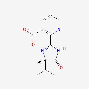 molecular formula C13H14N3O3- B1223905 2-[(R)-4-异丙基-4-甲基-5-氧代-2-咪唑啉-2-基]烟酸酯 