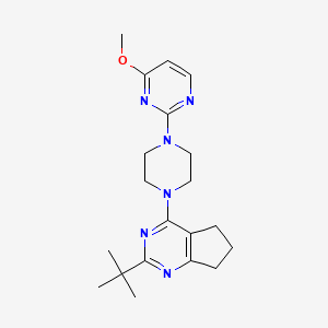 2-(4-{2-tert-butyl-5H,6H,7H-cyclopenta[d]pyrimidin-4-yl}piperazin-1-yl)-4-methoxypyrimidine