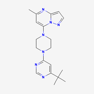 molecular formula C19H25N7 B12240200 4-Tert-butyl-6-(4-{5-methylpyrazolo[1,5-a]pyrimidin-7-yl}piperazin-1-yl)pyrimidine 