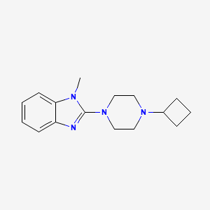 2-(4-cyclobutylpiperazin-1-yl)-1-methyl-1H-1,3-benzodiazole