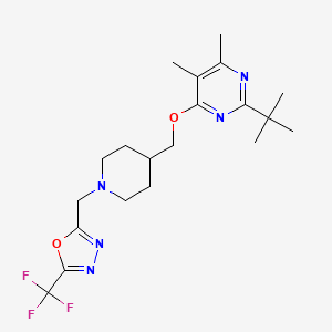 2-Tert-butyl-4,5-dimethyl-6-[(1-{[5-(trifluoromethyl)-1,3,4-oxadiazol-2-yl]methyl}piperidin-4-yl)methoxy]pyrimidine