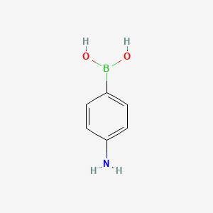 molecular formula C6H8BNO2 B1224232 4-Aminophenylboronic acid CAS No. 89415-43-0
