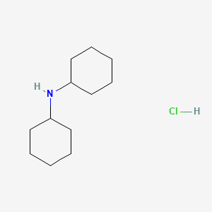 B1224246 Dicyclohexylamine hydrochloride CAS No. 4693-92-9