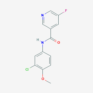 N-(3-chloro-4-methoxyphenyl)-5-fluoropyridine-3-carboxamide