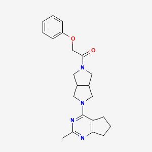 1-(5-{2-methyl-5H,6H,7H-cyclopenta[d]pyrimidin-4-yl}-octahydropyrrolo[3,4-c]pyrrol-2-yl)-2-phenoxyethan-1-one