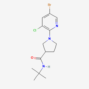 1-(5-bromo-3-chloropyridin-2-yl)-N-tert-butylpyrrolidine-3-carboxamide