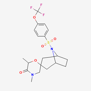 molecular formula C19H23F3N2O5S B12247538 4',6'-Dimethyl-8-[4-(trifluoromethoxy)benzenesulfonyl]-8-azaspiro[bicyclo[3.2.1]octane-3,2'-morpholin]-5'-one 