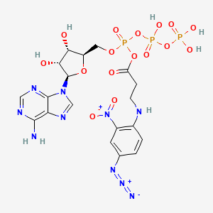 molecular formula C19H23N10O16P3 B1225566 Anapp3 CAS No. 58775-41-0