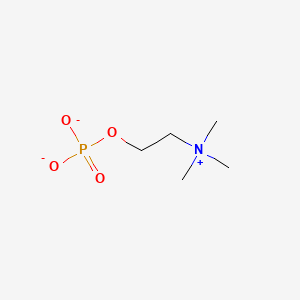 molecular formula C5H13NO4P- B1225945 2-(三甲基氮鎓基)乙基磷酸酯 