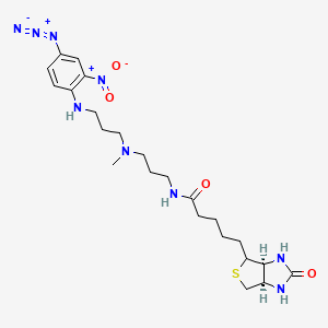 molecular formula C23H35N9O4S B1226016 Photobiotin 