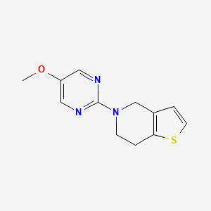 5-methoxy-2-{4H,5H,6H,7H-thieno[3,2-c]pyridin-5-yl}pyrimidine