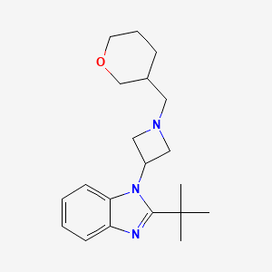 2-tert-butyl-1-{1-[(oxan-3-yl)methyl]azetidin-3-yl}-1H-1,3-benzodiazole