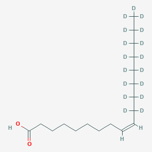 molecular formula C18H34O2 B122635 油酸-d17 CAS No. 223487-44-3