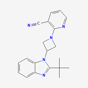 2-[3-(2-tert-butyl-1H-1,3-benzodiazol-1-yl)azetidin-1-yl]pyridine-3-carbonitrile