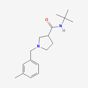 N-tert-butyl-1-[(3-methylphenyl)methyl]pyrrolidine-3-carboxamide