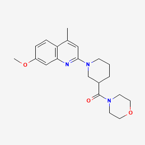 molecular formula C21H27N3O3 B12264324 7-Methoxy-4-methyl-2-[3-(morpholine-4-carbonyl)piperidin-1-yl]quinoline 