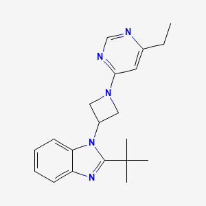 molecular formula C20H25N5 B12264475 2-tert-butyl-1-[1-(6-ethylpyrimidin-4-yl)azetidin-3-yl]-1H-1,3-benzodiazole 