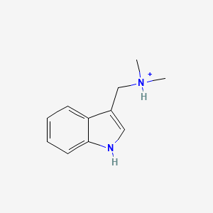 molecular formula C11H15N2+ B1226458 Gramine(1+) 