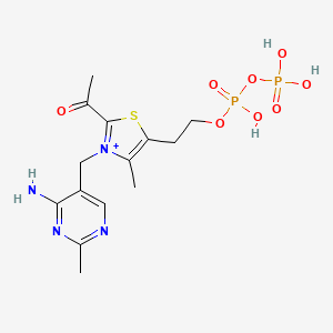 molecular formula C14H21N4O8P2S+ B1226475 2-Acetyl-thiamine diphosphate 