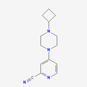 4-(4-Cyclobutylpiperazin-1-yl)pyridine-2-carbonitrile