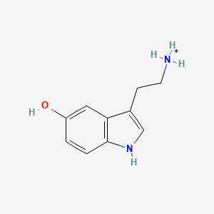 molecular formula C10H13N2O+ B1226522 血清素(1+) 