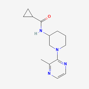 molecular formula C14H20N4O B12265709 N-[1-(3-methylpyrazin-2-yl)piperidin-3-yl]cyclopropanecarboxamide 