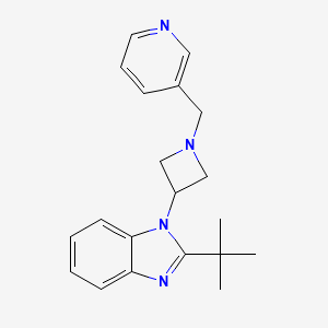 2-tert-butyl-1-{1-[(pyridin-3-yl)methyl]azetidin-3-yl}-1H-1,3-benzodiazole